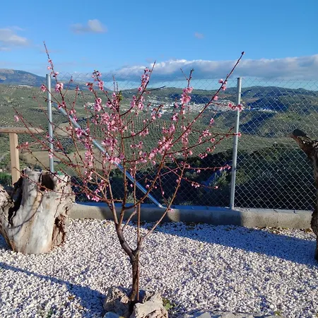 Holiday home Cortijo Rural Buenavista