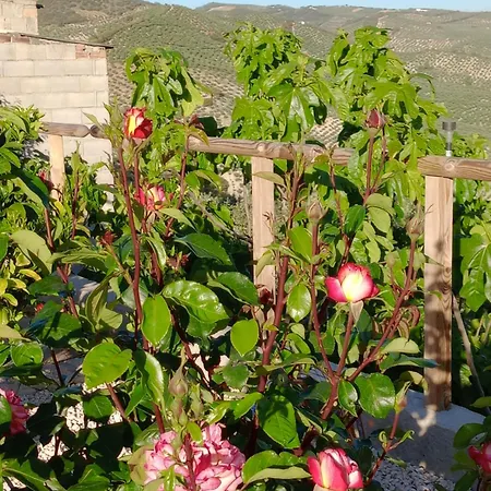 Cortijo Rural Buenavista * Montefrio